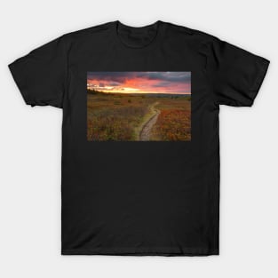 Dolly Sods Twilight Trail T-Shirt